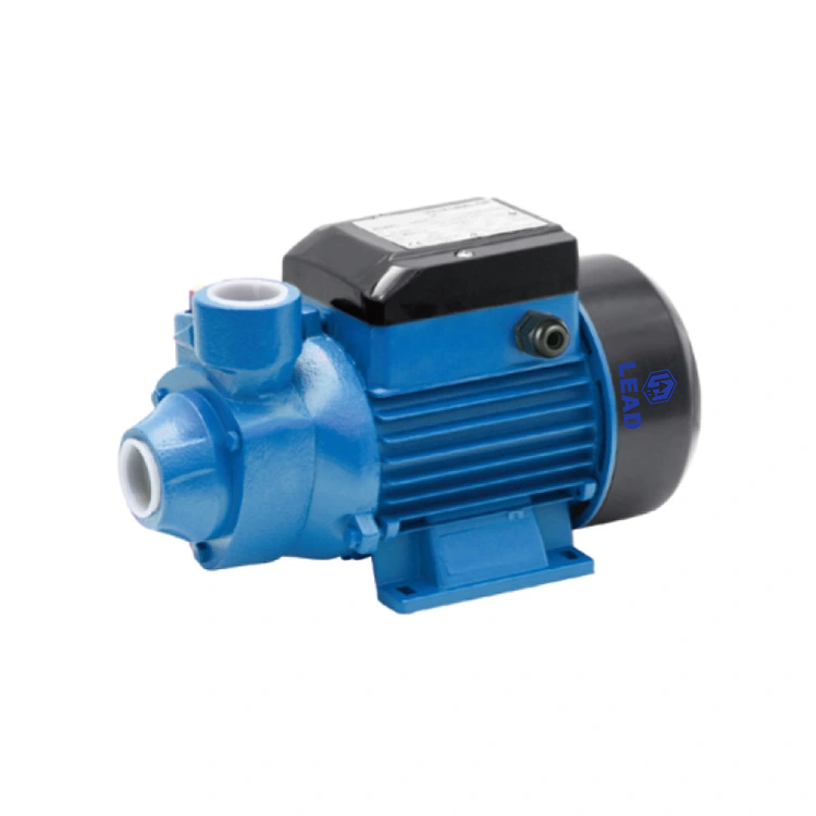 Qb-B periphere Wasserpumpe