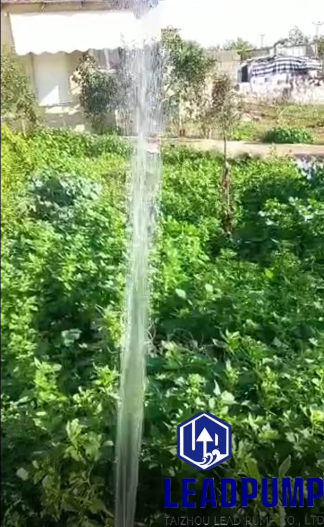 Nutzen Sie die Kraft der Sonne mit unserer 3DSP4-50-48-400 Solar Tubmersible Pump!