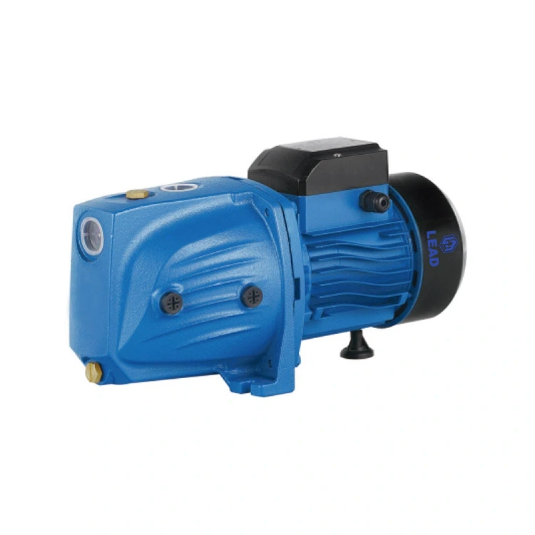 JSW 750 1 PS selbstpriming Wasserpumpe