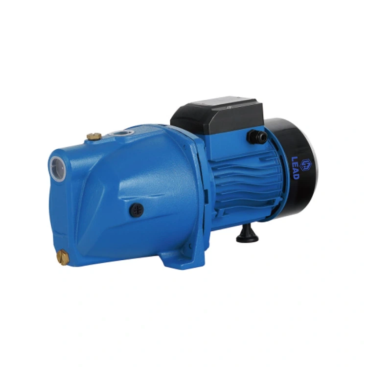 JSW 750S Self Primming Wasserpumpe